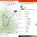 늑대와 여우 이미지