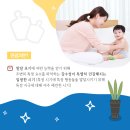 스콜라몬테소리시흥배곧 이미지