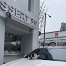 몽실중고옷 | [평택] 2024.02.20 평택역 알라딘 중고 서점 이용 후기