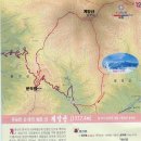 해운대역 앞 삼거리 이미지