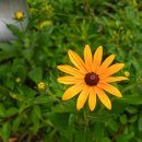 흙집이야기펜션 이미지