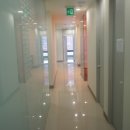 제주제일의원 이미지