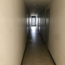 대정읍-4 이미지