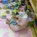 (주)새솔 Daum카페