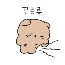 안산제일복싱 이미지