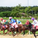 제주 퀸 제주신문
