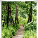 고운나라 이미지