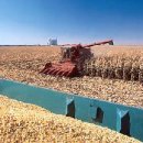 상승농장2 이미지