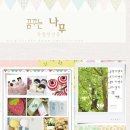 꿈꾸는 나무 이미지