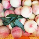 한태농장 이미지