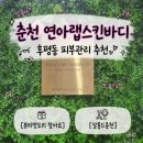 씨유(CU)춘천모아마트점 | 춘천 피부관리 수기관리 끝판왕! 후평동 에스테틱 연아랩스킨바디 수분 미백케어 솔직 후기