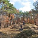 기응세선생묘 이미지