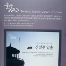 간절곶 소망길 이미지