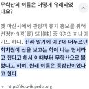 ('26.5.15, 금) 창원(마산) 3 - 마산 무학산.舞鶴山(761m) 종주 이미지