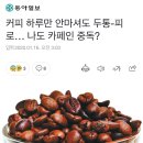 카페인중독 이미지