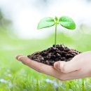 나눔6호 태양광발전소 | 2025년 주식 시장 전망과 투자 꿀팁