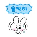 블루샥제주 - 제주시 중앙로 326 | 블루샥제주