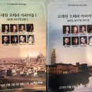 아리아 Ⅰ 이미지