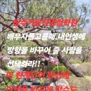 청주철학관 청주철학관 청주철학관 지금상담받을때 지금상담받을때청주거암작명철학에서요 지금상담받을때 지금상담받을때 전화사주예약상담을이용하시면 이미지