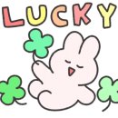 이츠펫(It's Pet) 이미지