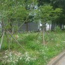 호산카센타 네이버블로그
