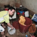 양평배수장 이미지