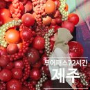 주흥길 72-2 (1) | 제주 투어패스 72시간 타임제로 카페 이용방법 리스트 후기