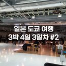 초밥파는선술집 | 도쿄 여행 3박4일 3일차 #2 (시부야 메가 돈키호테, 인간관계 카페, 오뎅바 야키토리 키리시마)