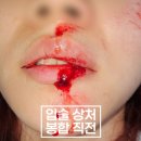 강동실비