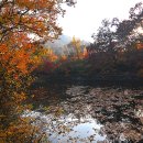 풍경쉼터 이미지