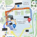 선학역 1번출구 | 인천 주말가볼만한곳 선학동 메밀밭 명소 개화상황