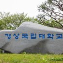 경상국립대학교 행정대학원 한국강사신문