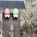 윤*돈