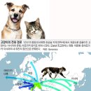개와고양이 - 사상구 새벽시장로56번가길 4 | 개와고양이