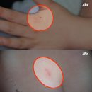 리틀올리브어린이집 이미지