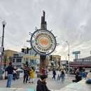 렌터카 여행 | 샌프란시스코 여행, 피셔맨스 워프, 피어 39, 보딘 베이커리 본점, 코드마더 피시 앤 칩스