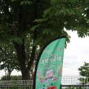 2025한강대학가요제 본선 직관 후기 우승상금 팀 불꽃놀이