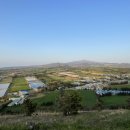 제주소요 이미지