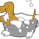 코리아애견샵 | 애견미용학원 추천 시설과 실습 환경이 잘 갖춰진 곳