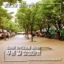 주월동 빅스포 뒤편(푸른길공원) | 침체한 지역 경제를 살리는 광주 남구 '푸른길 상생마켓'