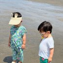 코브나인 이미지