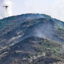 대구서변초등학교조야분교장 이미지