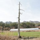 농산별업 이미지