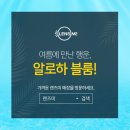 알로하플라워