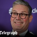 MY DOG GROOMING 이미지