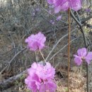 대각마을회관 이미지