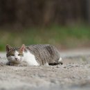 무다 - 중구 동성로2길 28 | 무다
