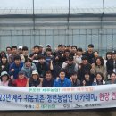 제주석창포