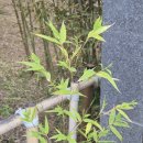 있는그대로정신건강의학과의원 | #2 터널을 걷고 있는 당신에게┃정신건강의학과 솔직 후기