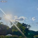 카페0463